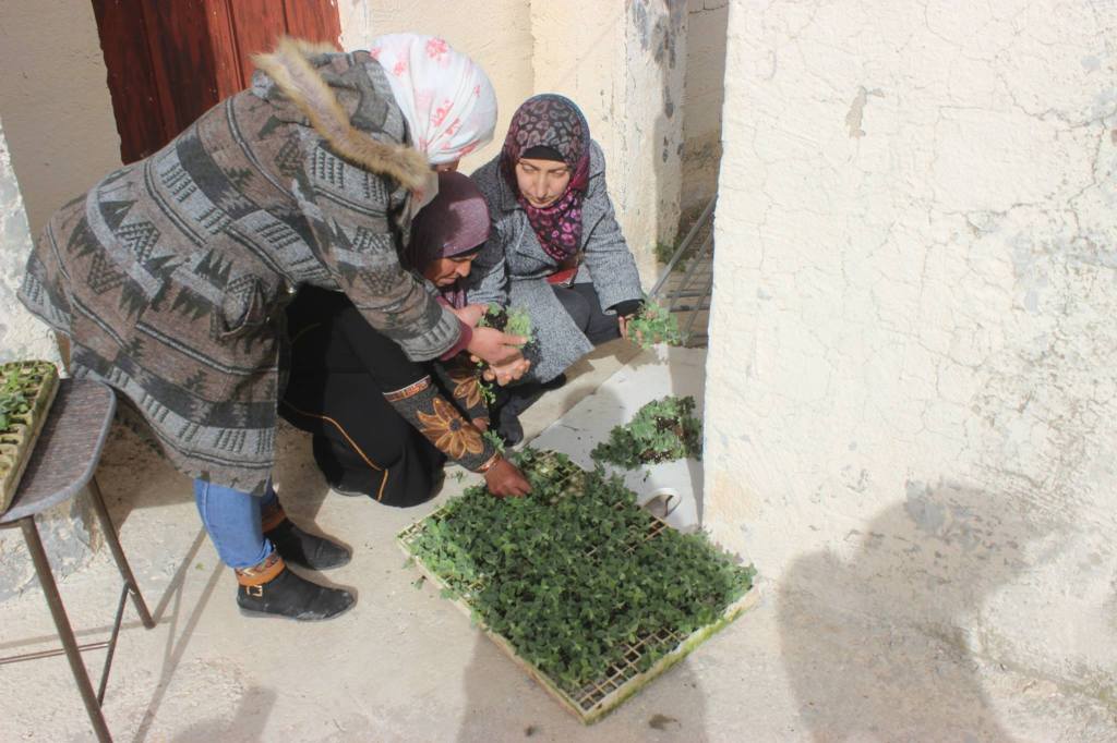 L&rsquo;AFPS78 soutient la campagne &laquo;&nbsp;Thym&nbsp;&raquo; de Tanweer&nbsp;Forum