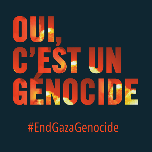 29 mars. Génocide à Gaza, présentation du rapport d&rsquo;Amnesty International à&nbsp;Versailles